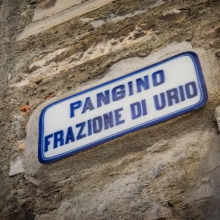 Una Finestra Sul Lago Di Como Appartamento Carate Urio
